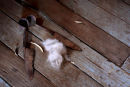 Wool Clip